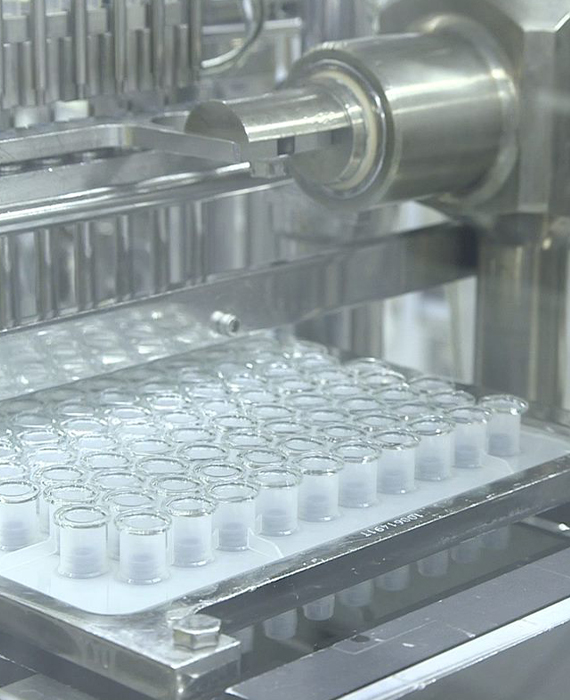 Manufacturing process for prefilled syringes